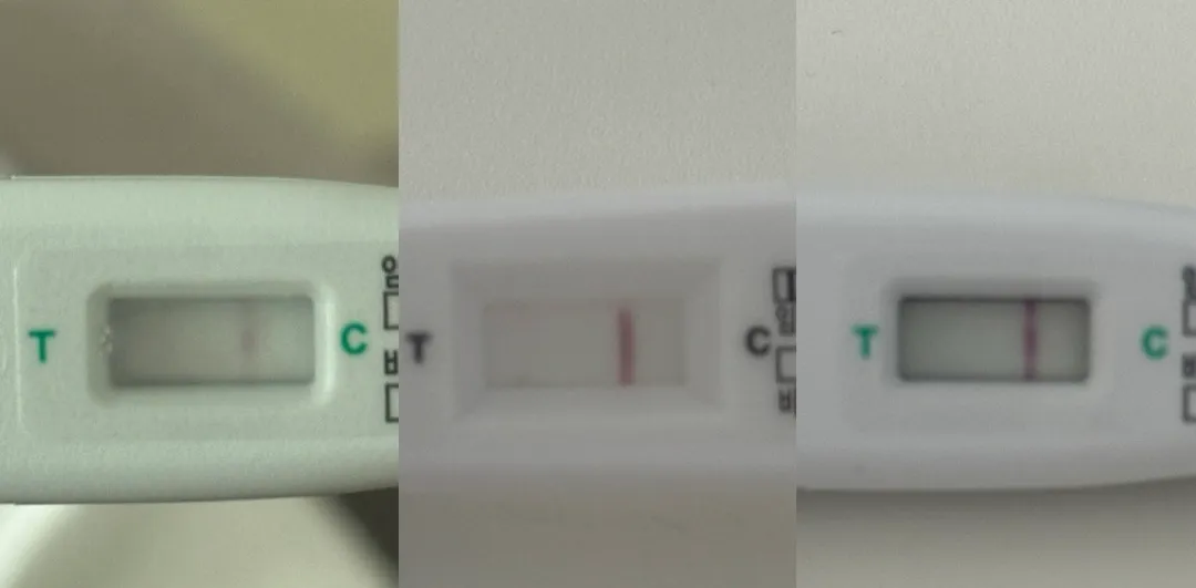 테스트기 봐주세요ㅠㅠ!!
