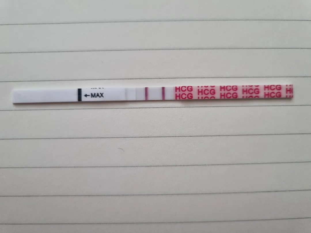 진하기 한번 봐주세요~^^