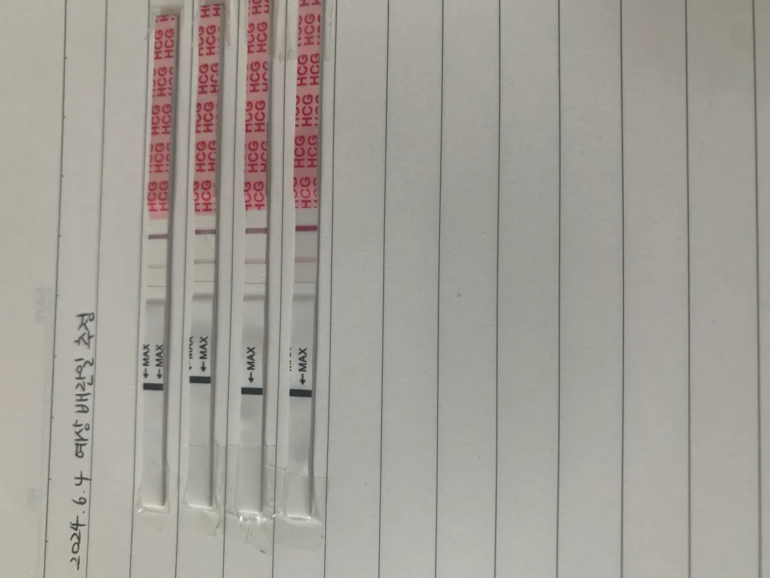 원포임테기진하기비교