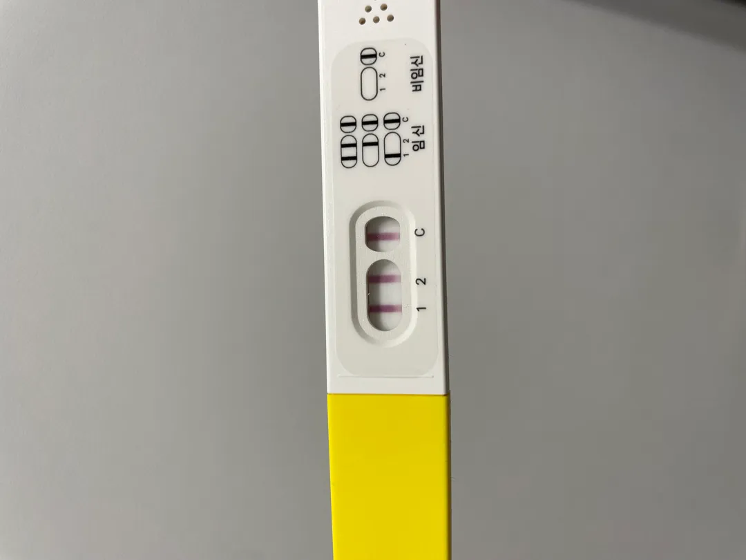 6주 2일차 아가가 안보여요