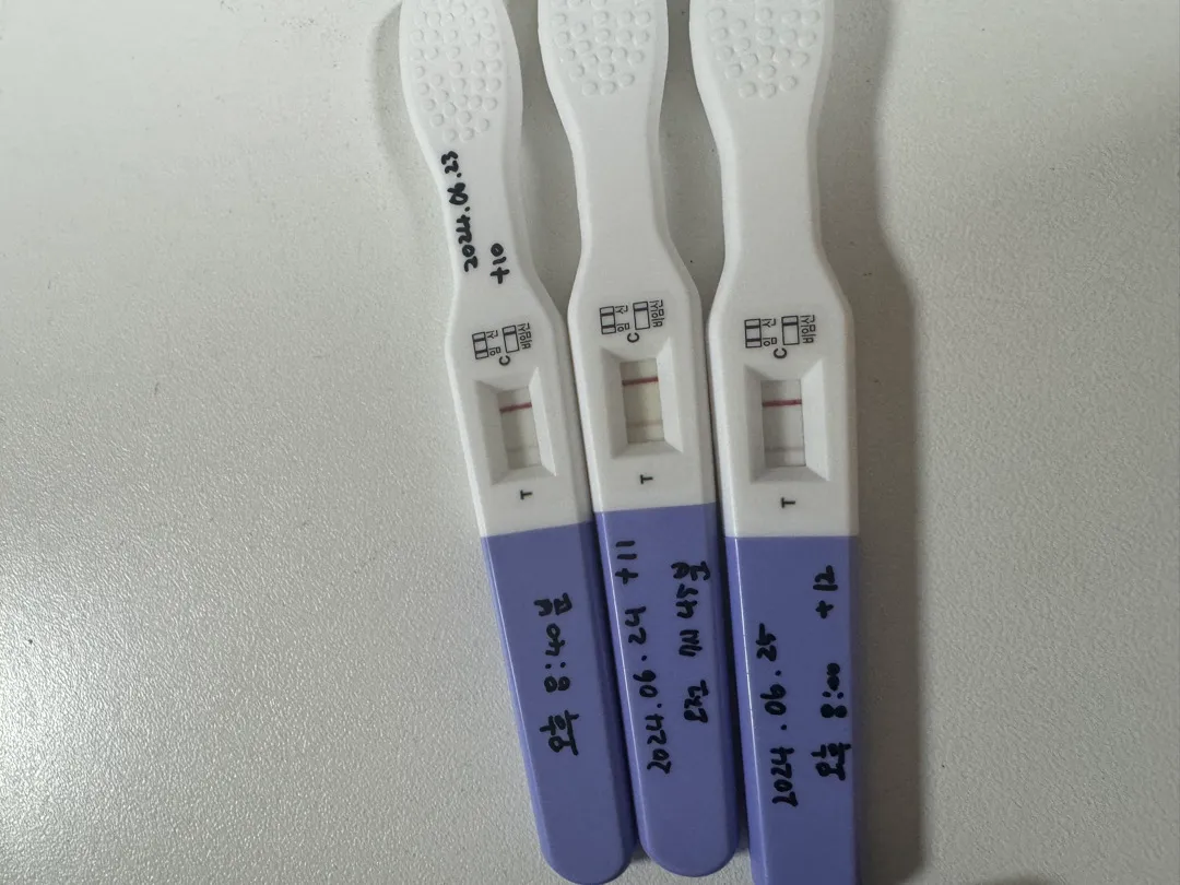 입덧? 일까요??