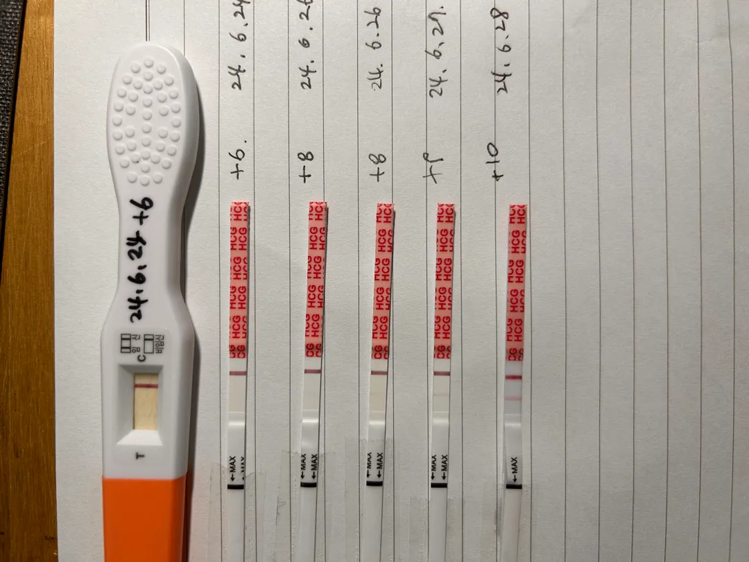 신기방기