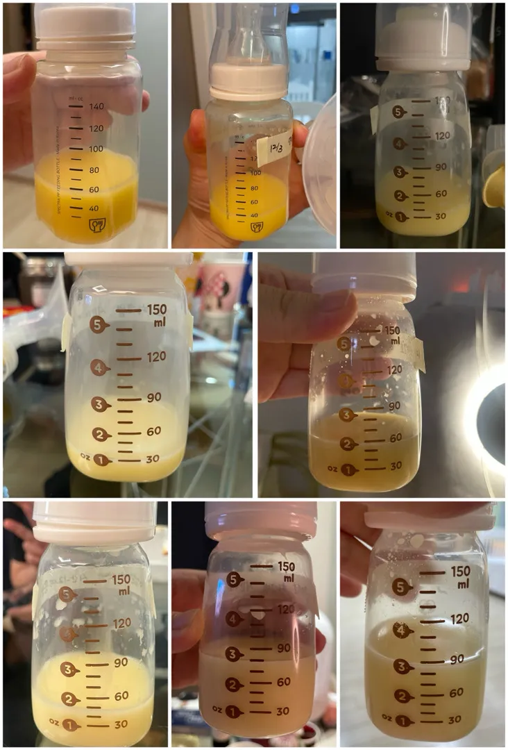 유축 (텀. 새벽유축. 모유량)