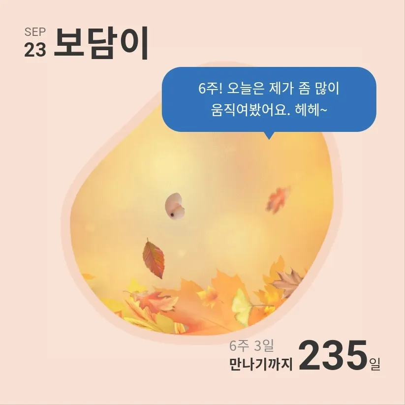 가을이네요~