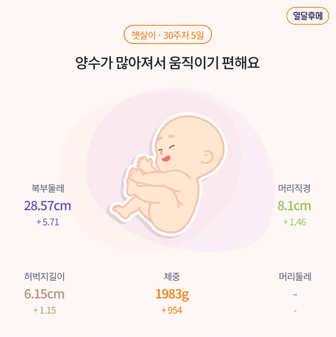 30주 태아 몸무게 🤔자분가능하겠죠..?