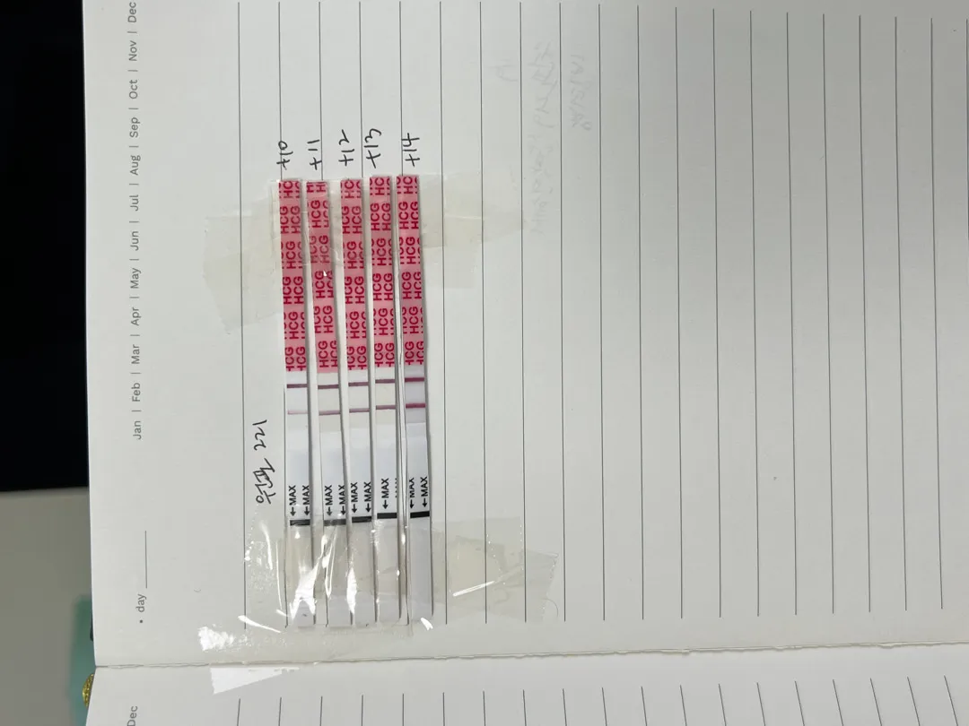 아기집 언제쯤 보일까요?🥹