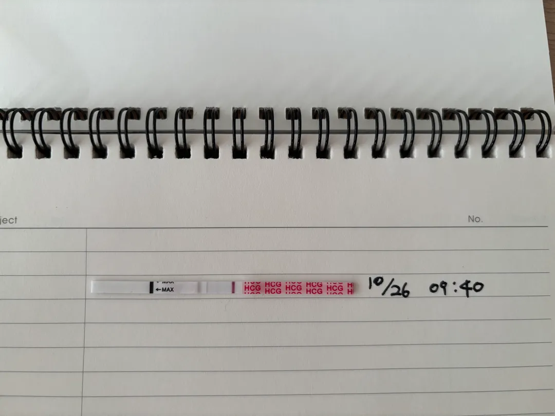 🙏봐주세요