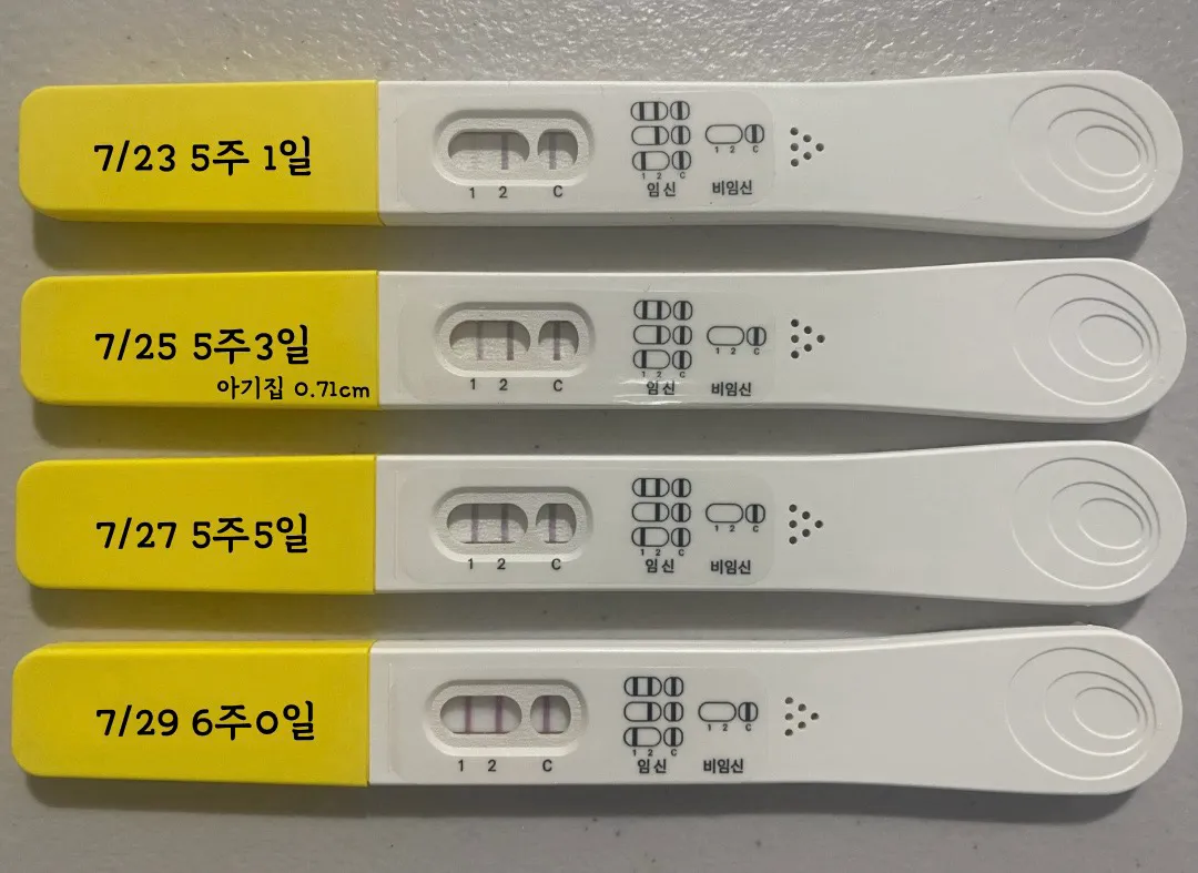 파이널체크 봐주세요..!!!