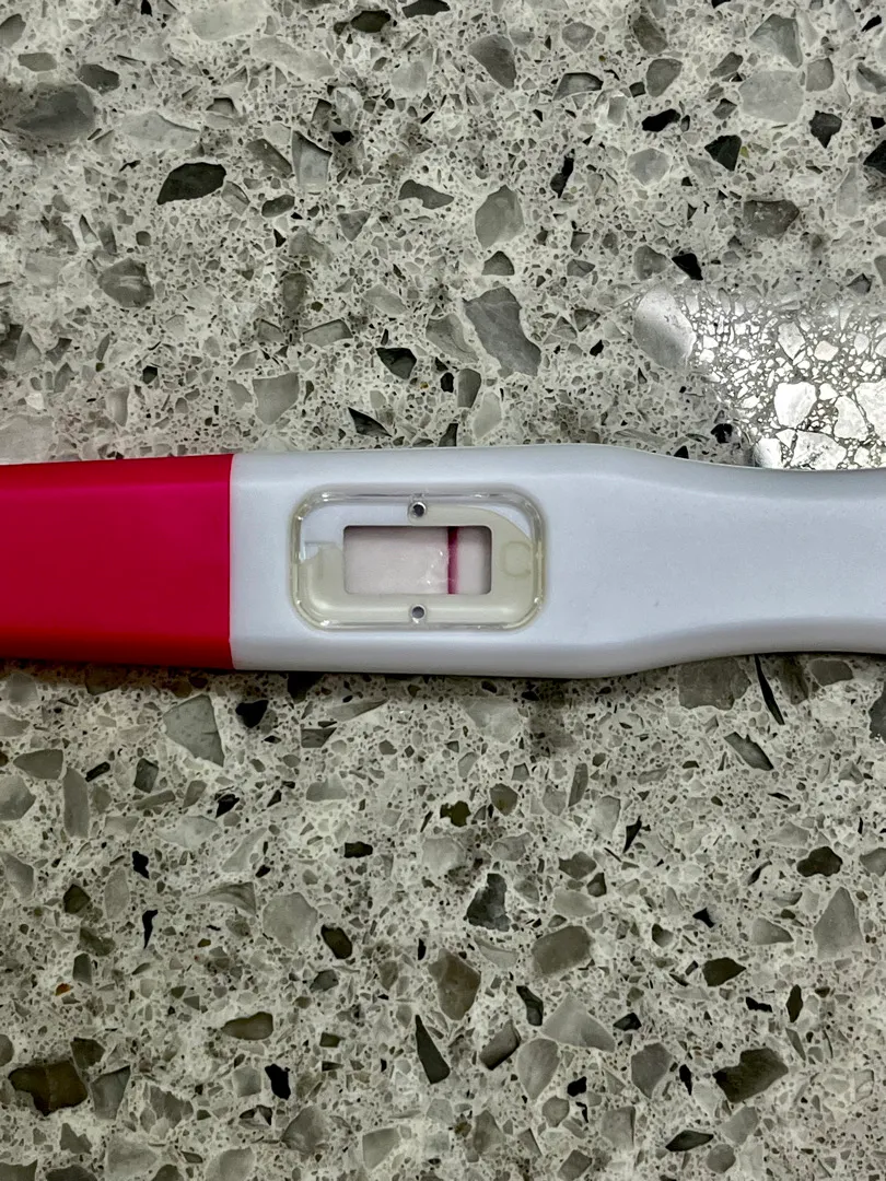 첫 얼리임테기