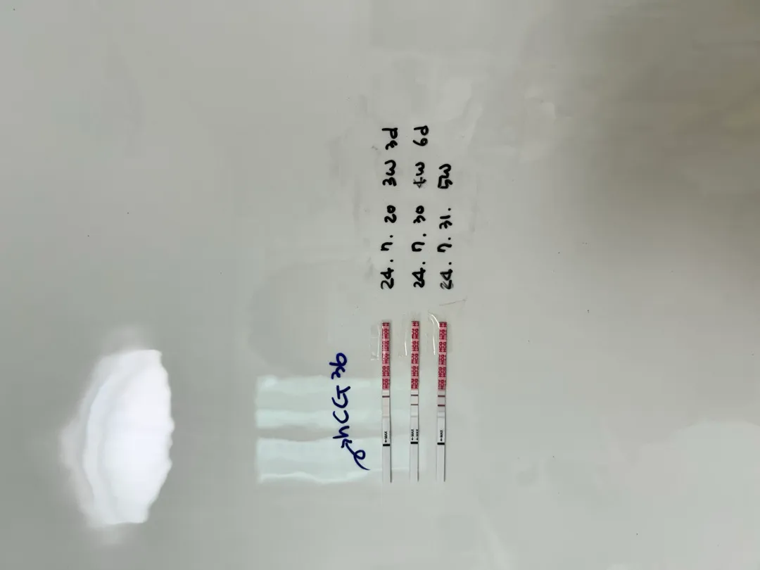 다음주면 초음파 볼 수 있을까요..? 