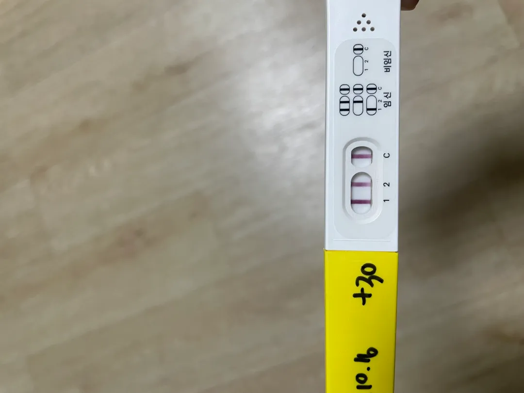 내일심장소리 들을수 있을까요..?