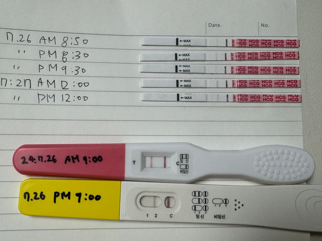 임신이 맞을까요?