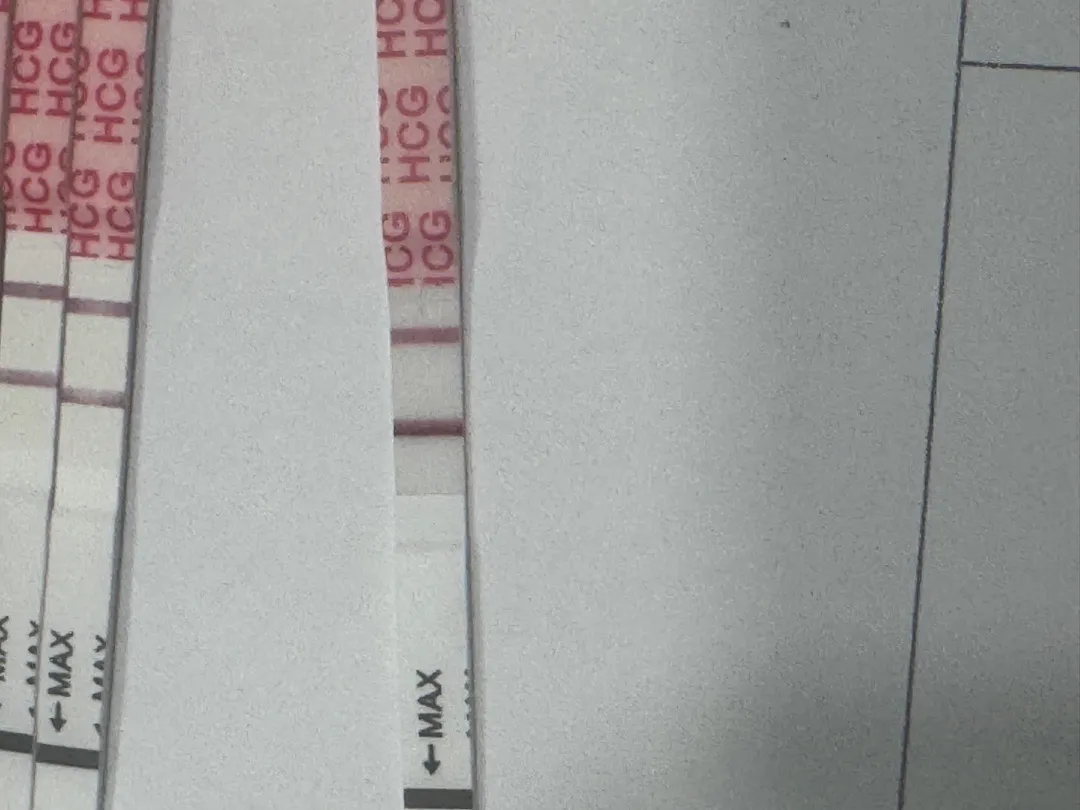 4주5일차입니다..!!
