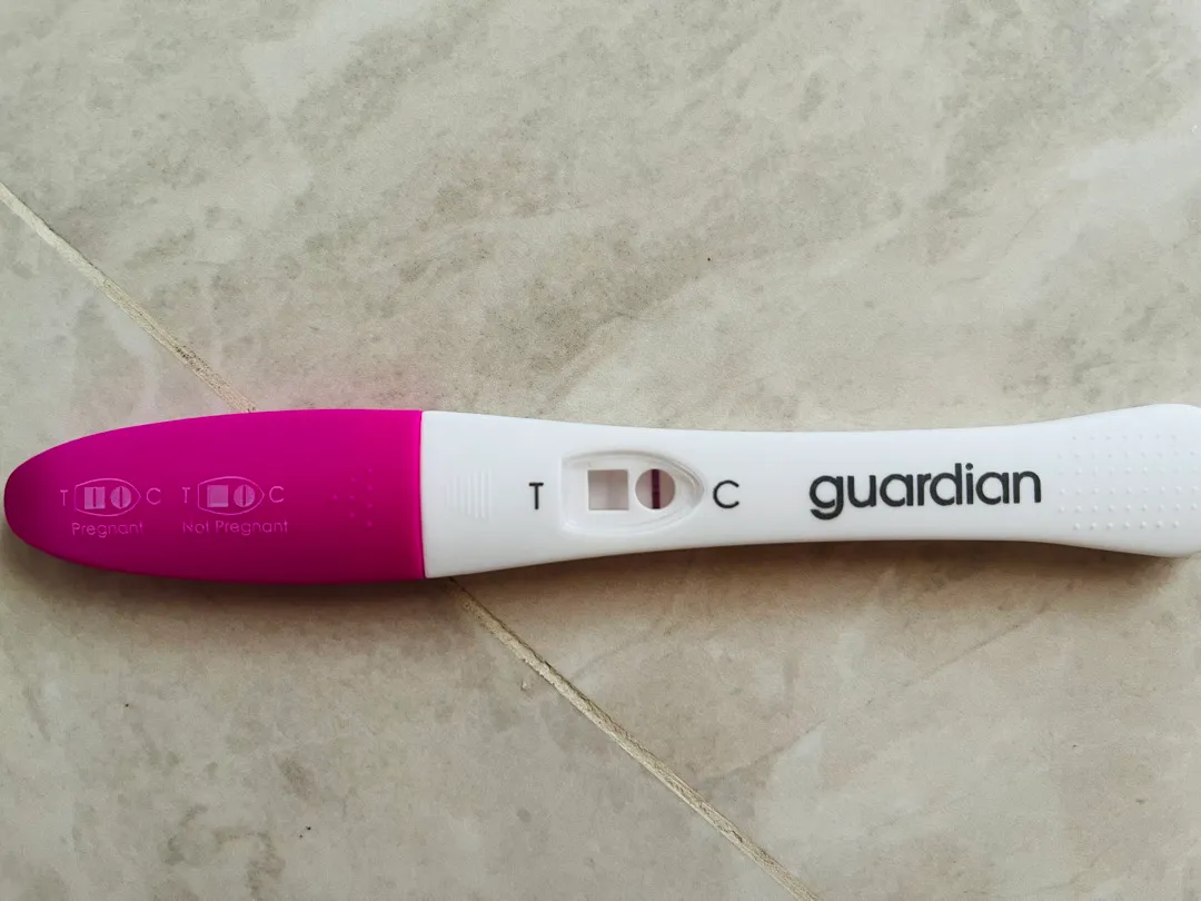 보이지요..?