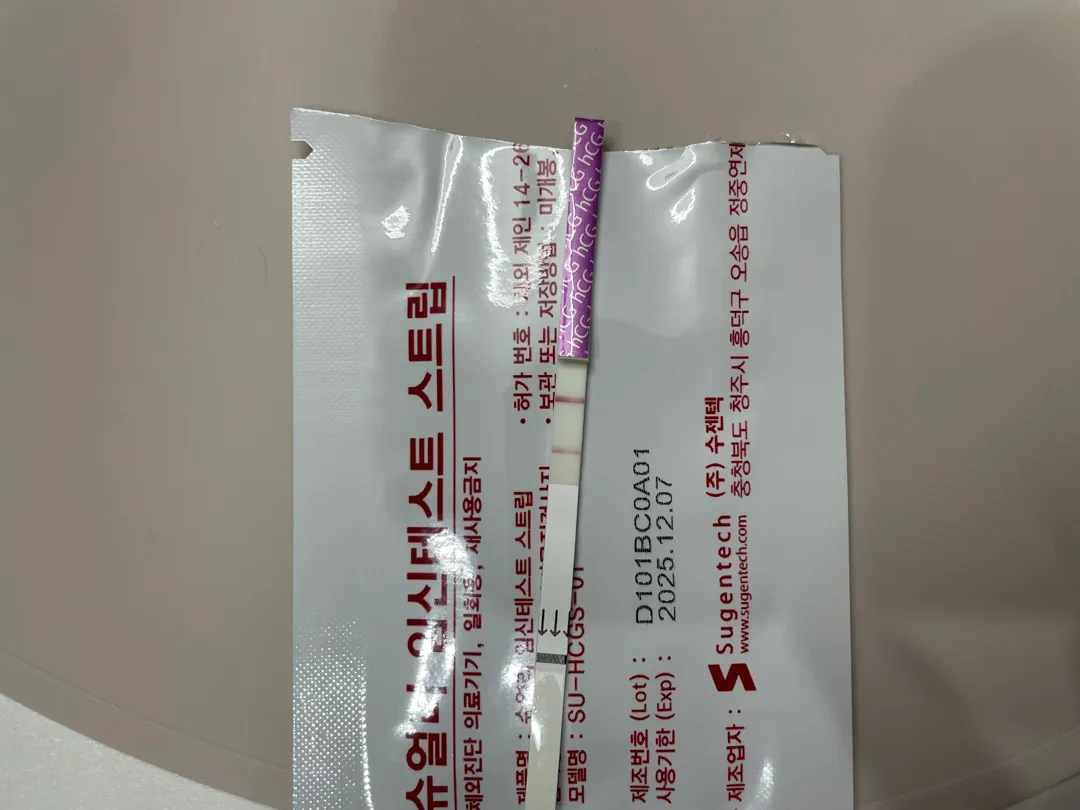 안녕하세요 초음파 언제보러 가야할까요..??