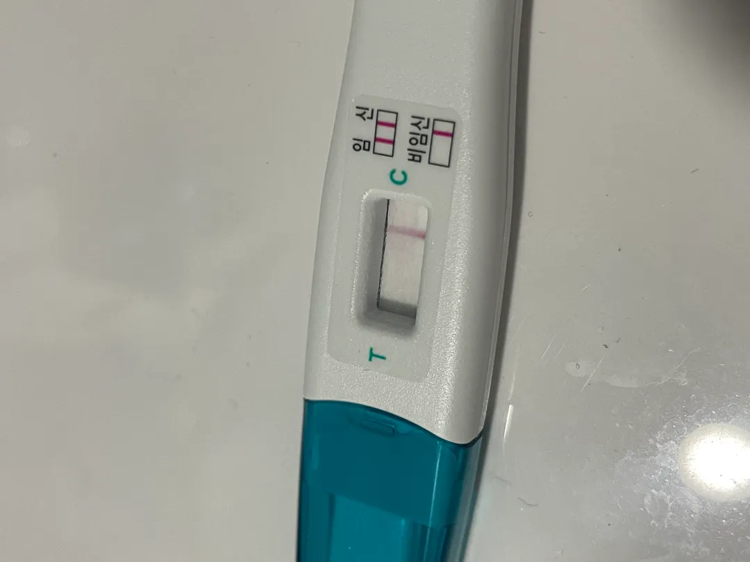 단호박 한 줄 인가요..? ㅎㅎ