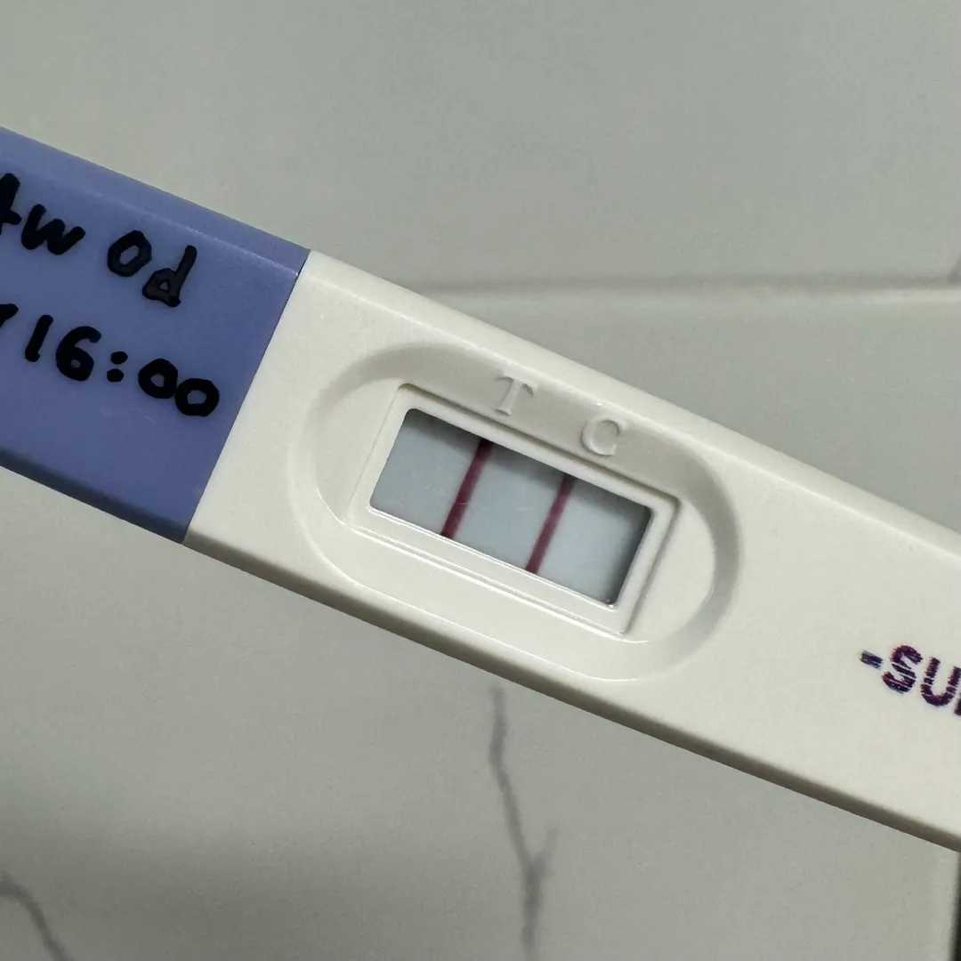 내일 아기집 보일까요?