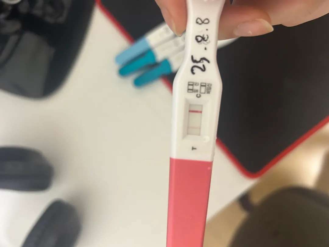 임테기 2줄