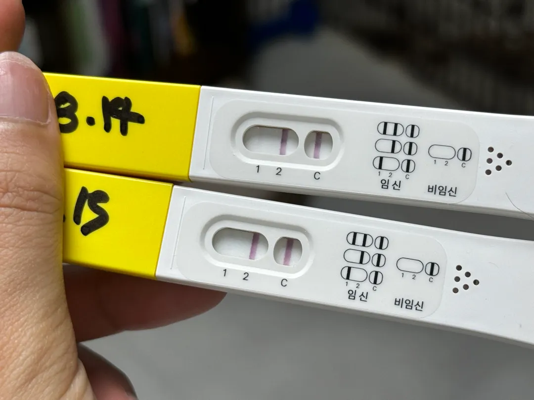 파이널체크 너무 연한데 아기집 ㅜㅜ