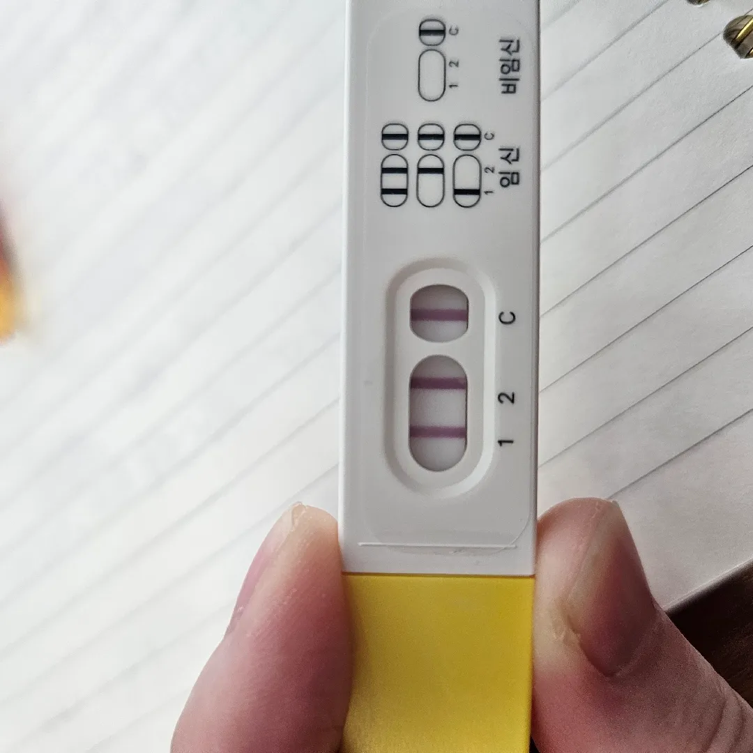 6주2일 쓰리라인 임테기