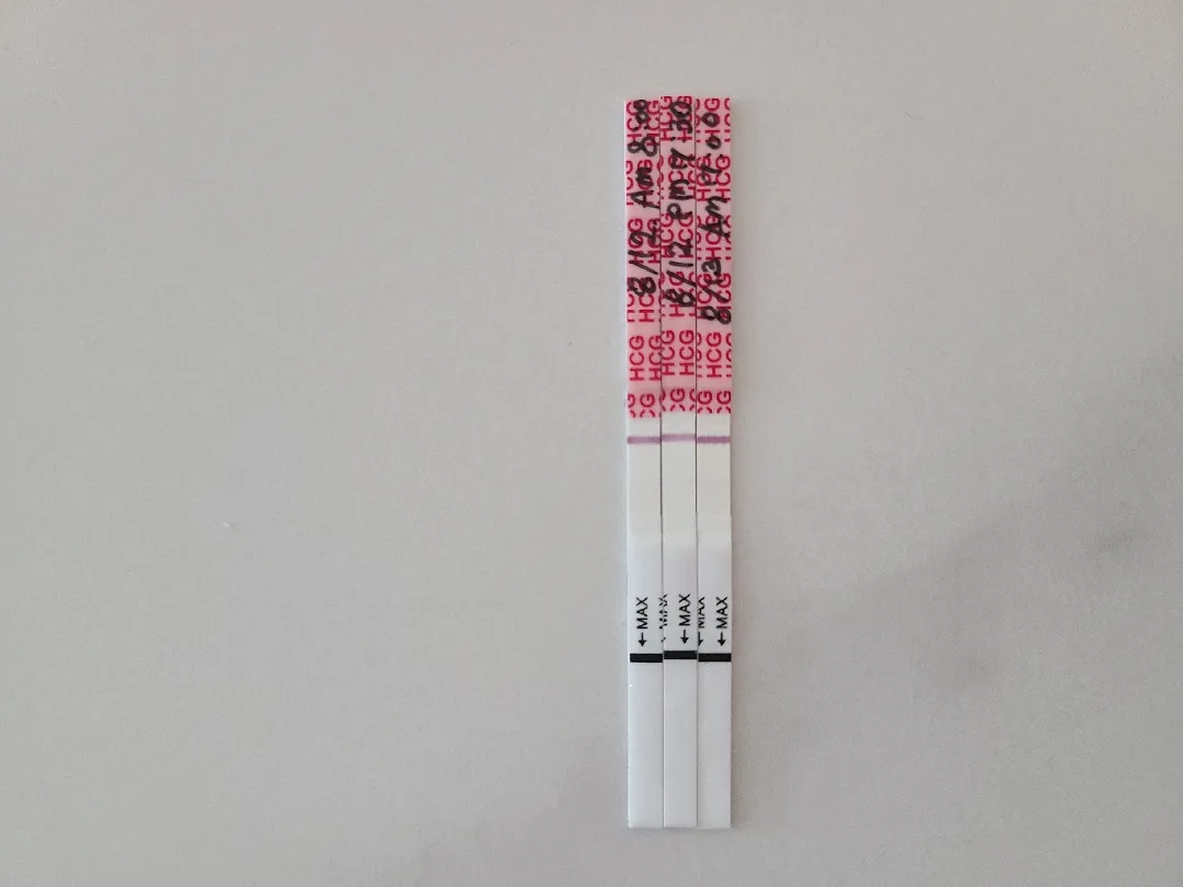 배란 16일차 임테기