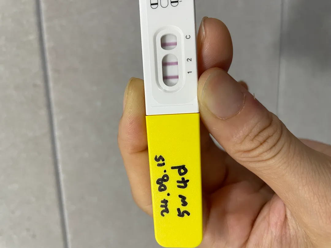 이번주에 난황보일까요?