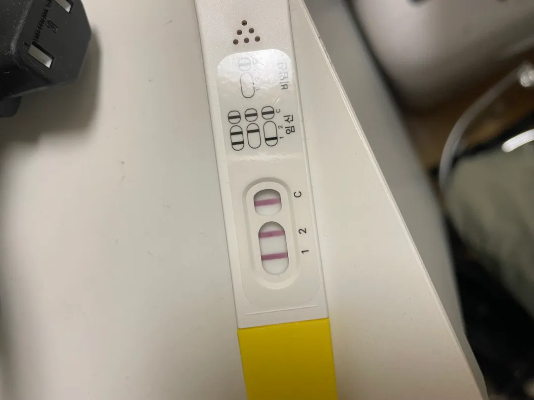6주3일차에요~!