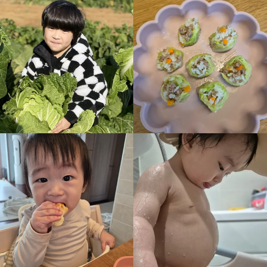 햇살이 배 좀 보세요