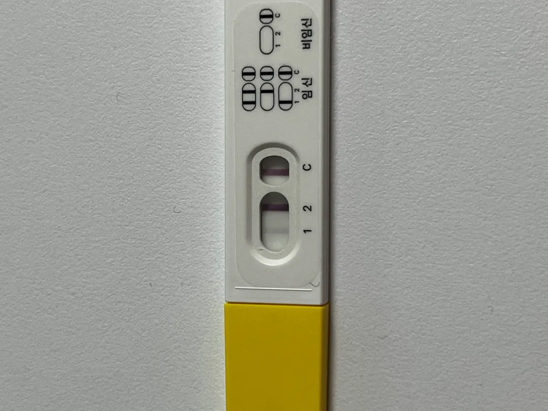 3줄 임테기.. 내일 아기집 보일까요?