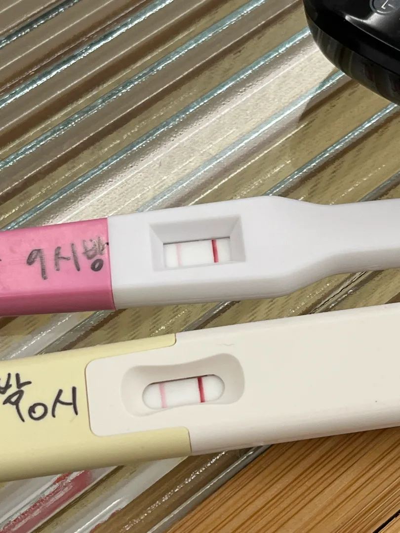 어제 생리예정일이였는데…!!소식이 없더니…!