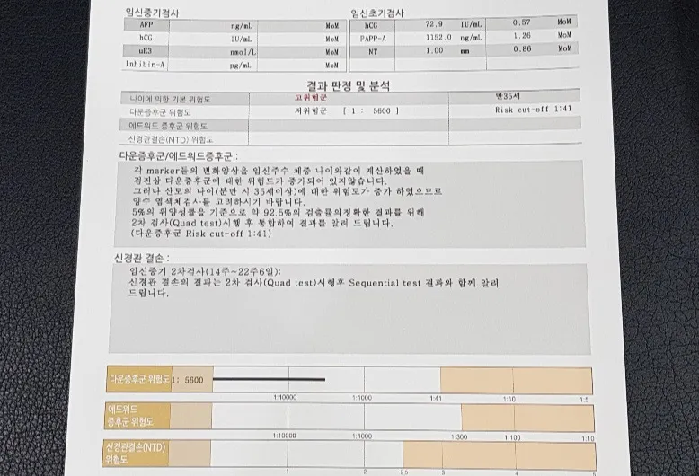 1차 기형아검사 결과좀 봐주세요