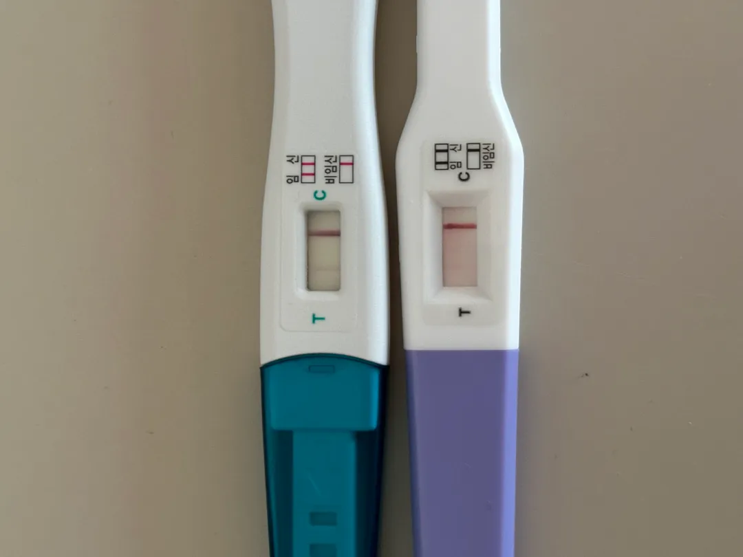 테스트기 봐주세요