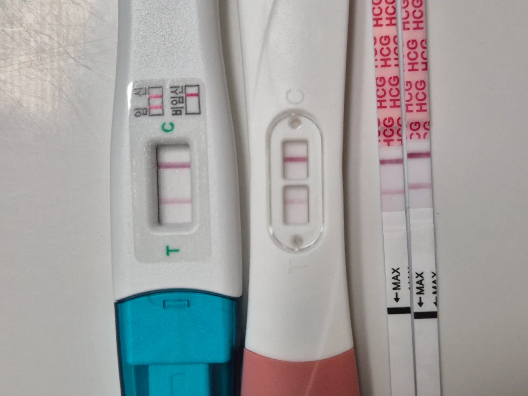 테스트기 봐주세요ㅠㅠ