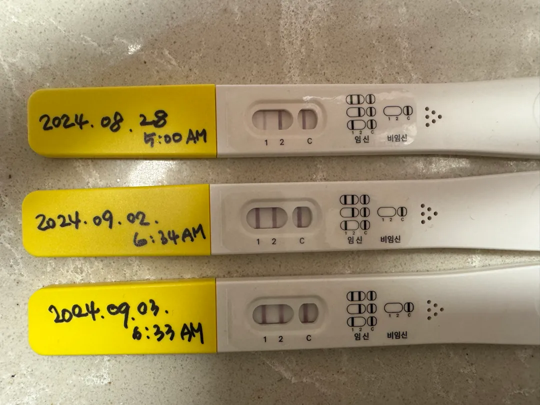 파이널체크 임테기 대조선