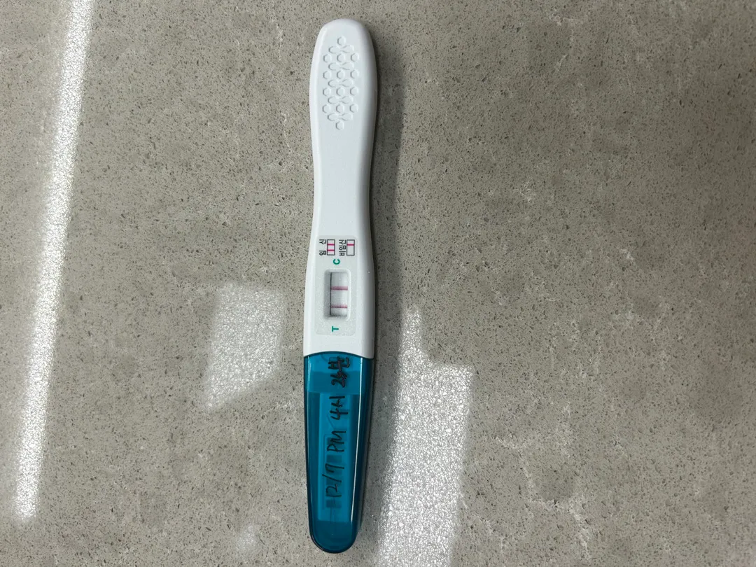 질문있어요!!!😭