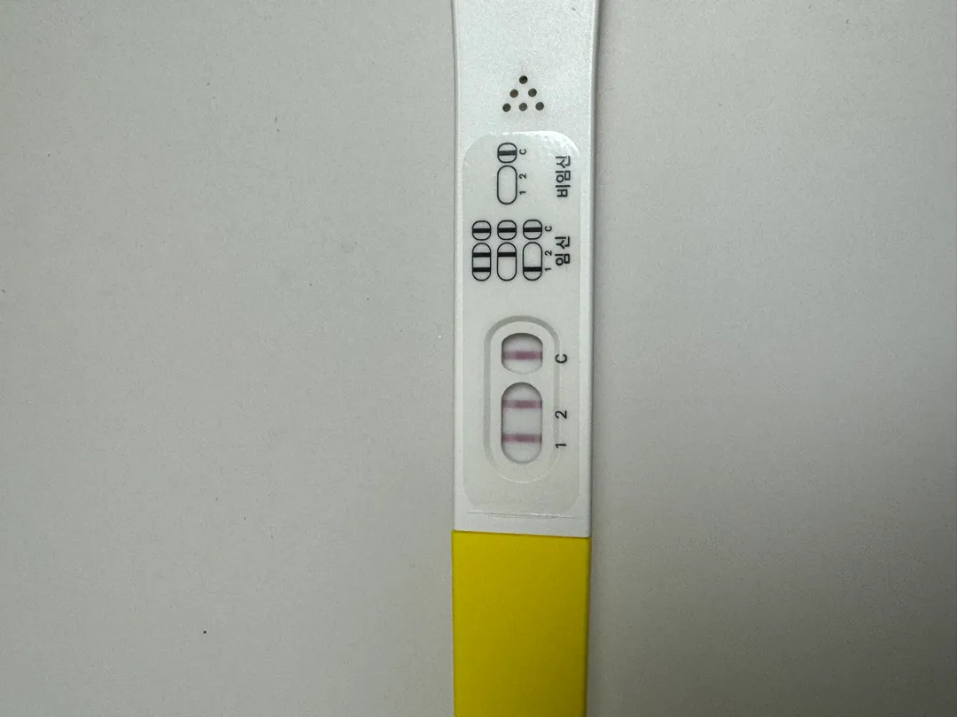 5주5일차인데 파이널 임테기 한 번 봐주세요