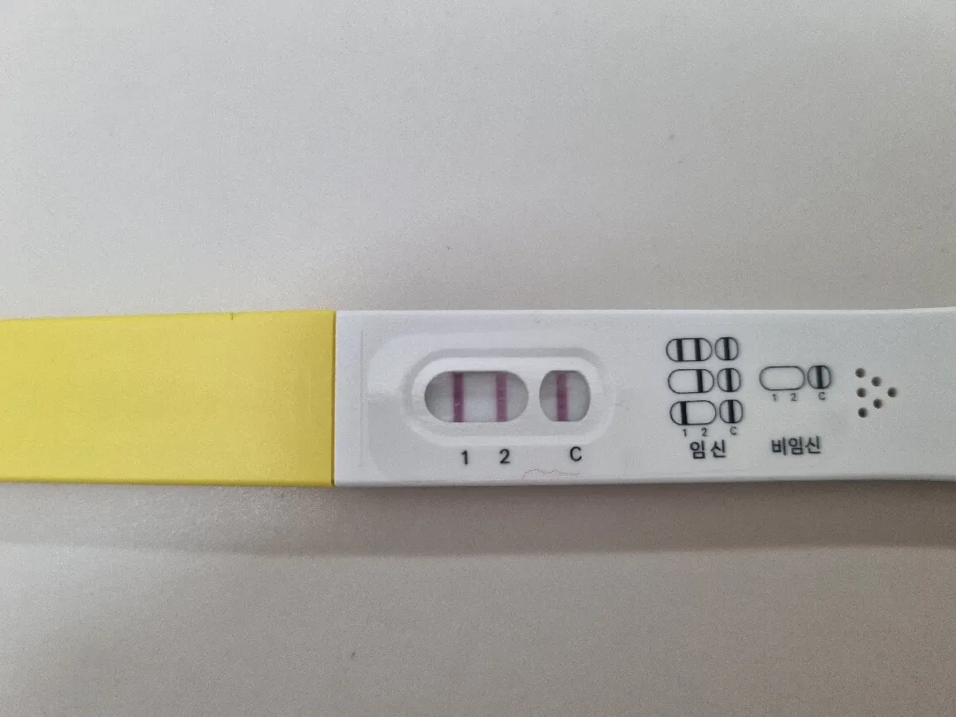 내일심장소리들으러가는데요