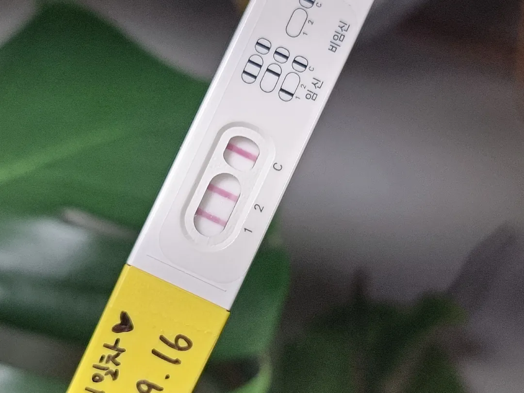 6주1일차 파이널 쓰리체크 해보신분