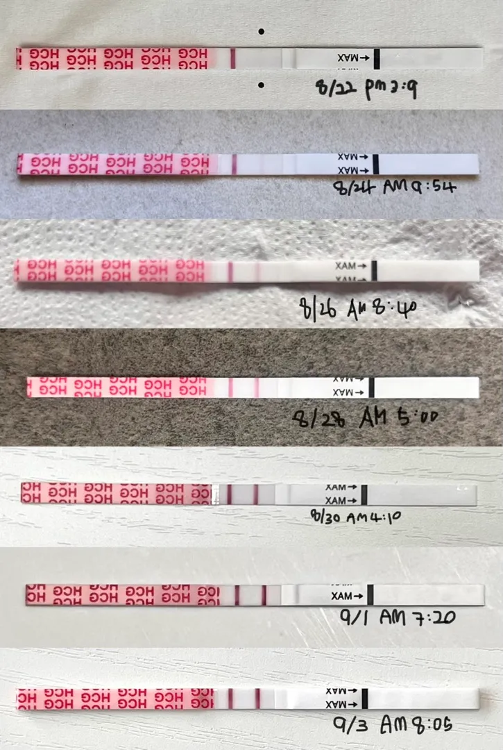 임테기 언제까지 하세요? (진하기)