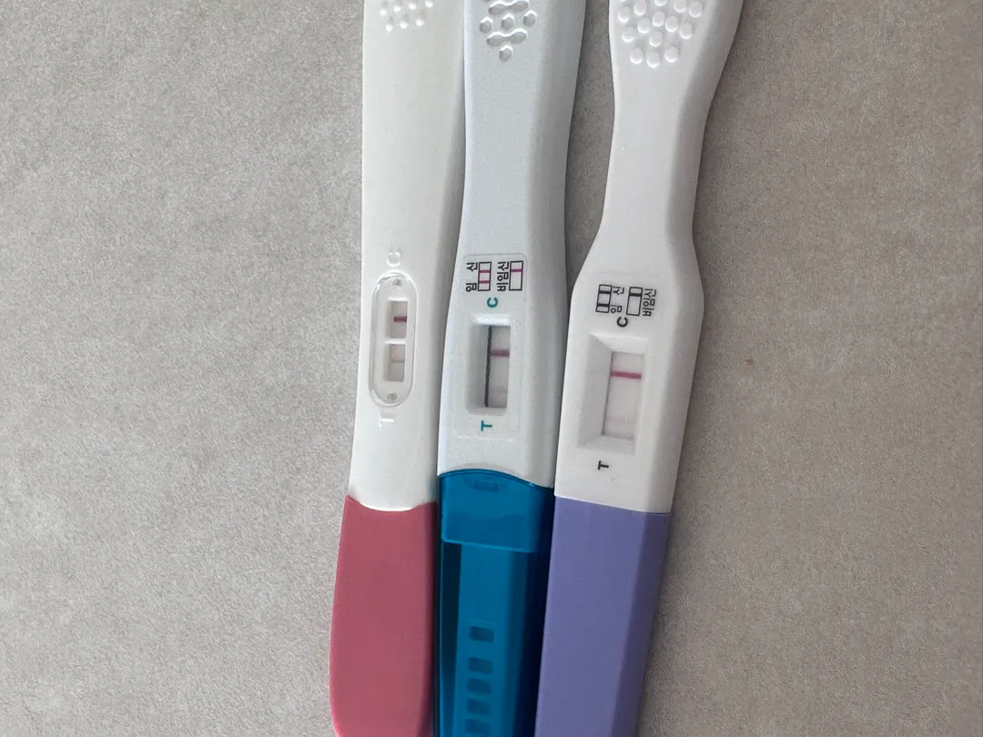 이게 진짜인가요??!