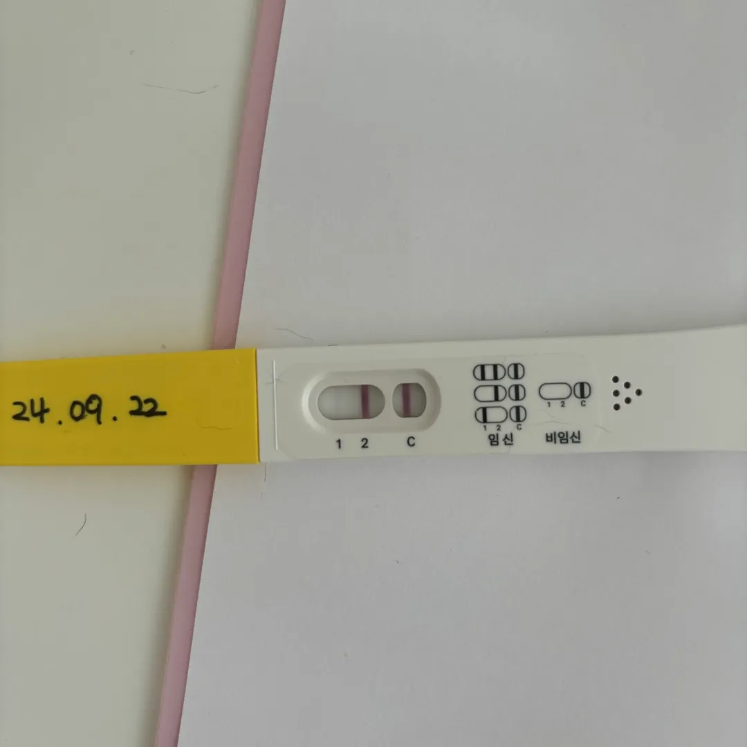 이제 아기집 보일까요?? 파이널임테기