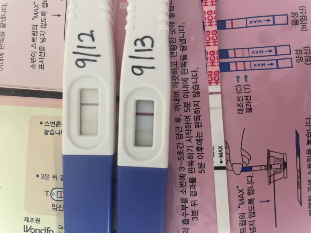 요거 임신맞겠죵..?