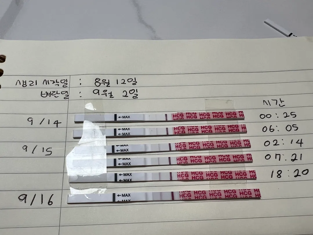 임테기 진하기 비교 괜찮으거겠죠?