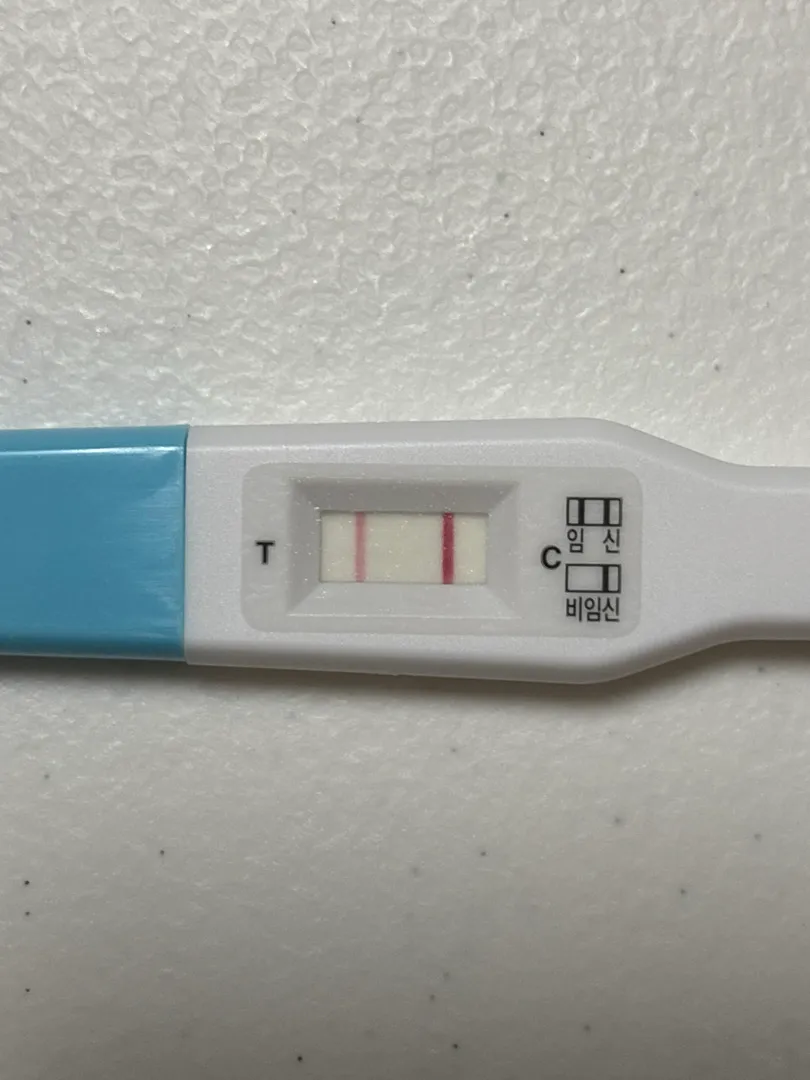 궁금한게 너무 많아요..