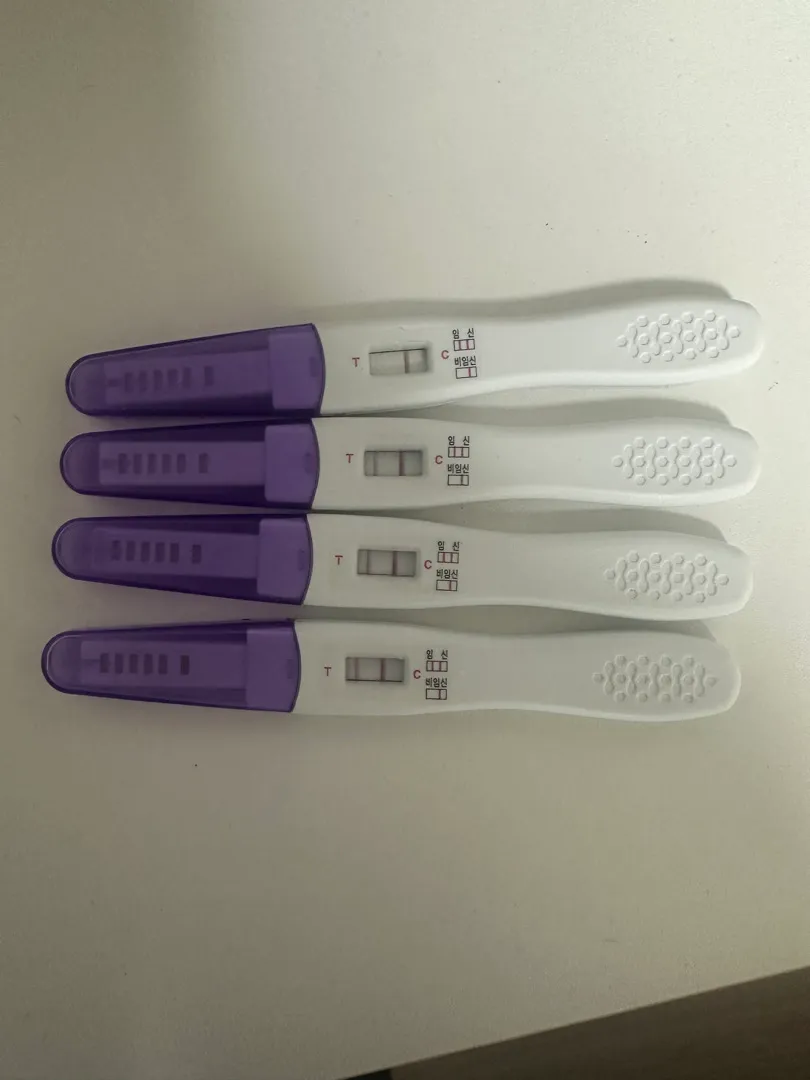 오늘 가면 콩알안보이겠죠?ㅜㅜ