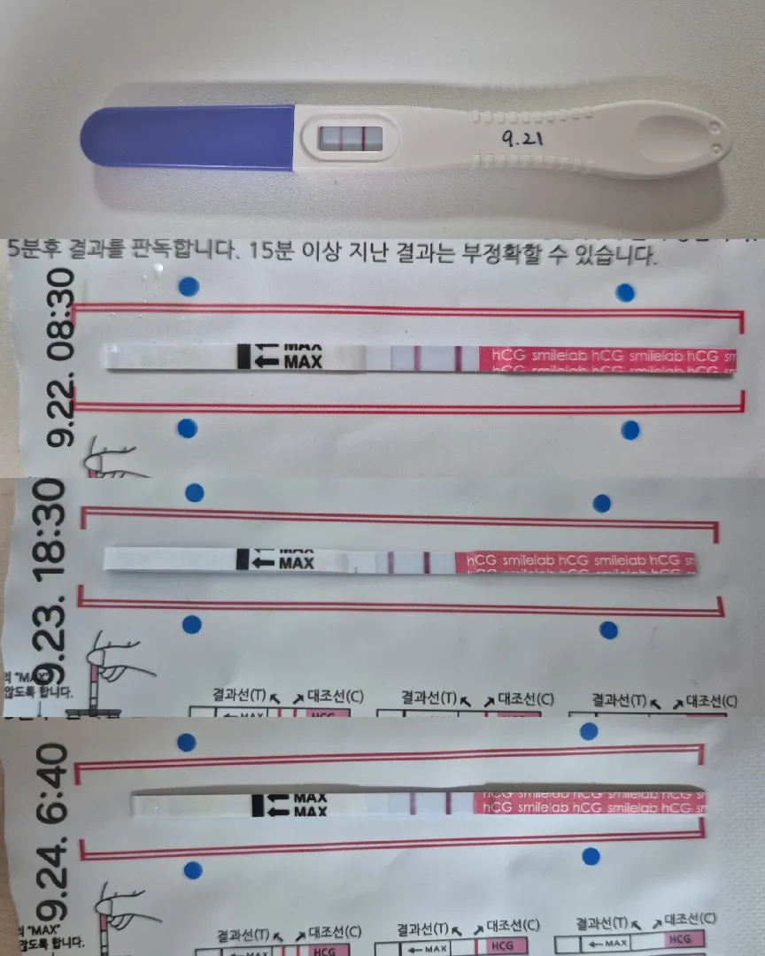 아기집 볼 수 있을까요..?