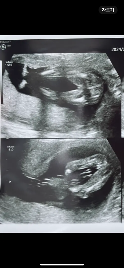 16주 촘파 봐주세여!!