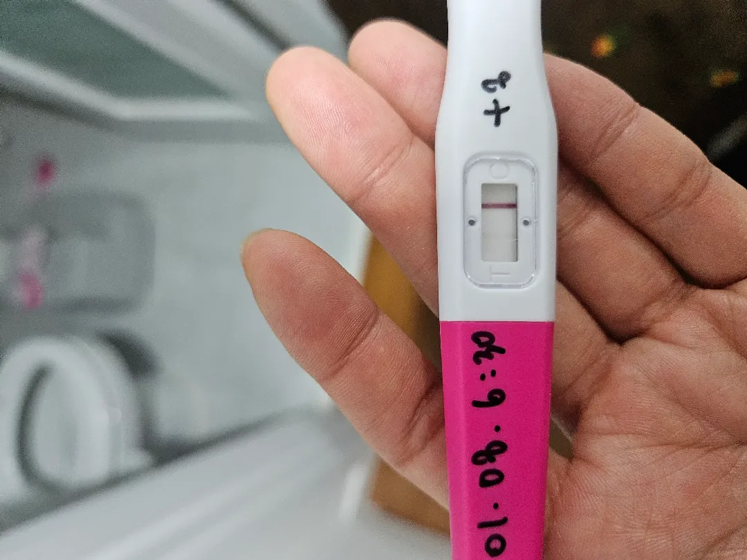 배란 8일차 임테기 봐주세요!!