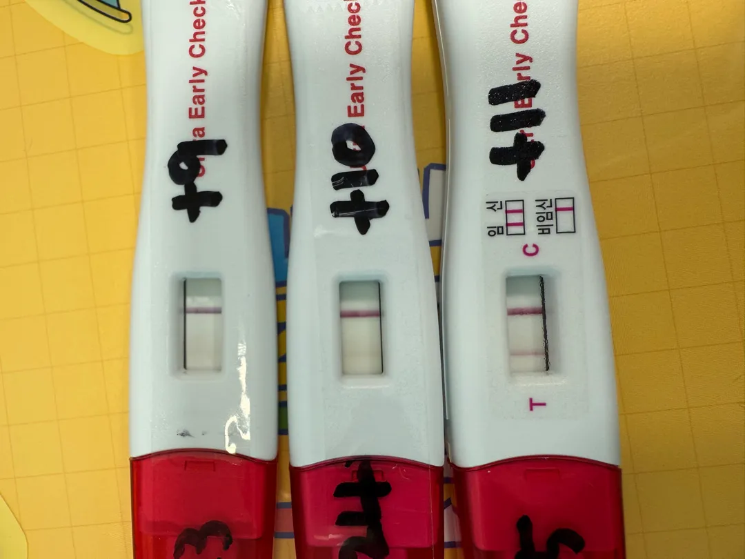 울트라얼리임테기시약선