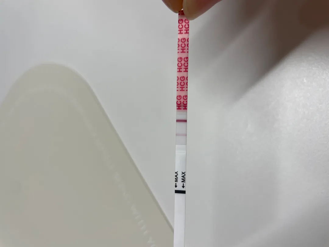 배란 11일차 피검 수치 (생예 이틀전) 
